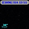 [CSH96] SSA 13  51