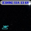[CSH96] SSA 13  68