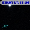 [CSH96] SSA 13 106