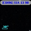 [CSH96] SSA 13  90