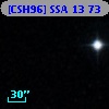 [CSH96] SSA 13  73