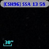 [CSH96] SSA 13  58