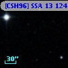 [CSH96] SSA 13 124