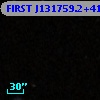FIRST J131759.2+411916