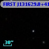 FIRST J131629.0+415050