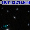 FIRST J131735.0+411714