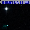[CSH96] SSA 13 115