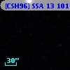[CSH96] SSA 13 101