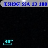 [CSH96] SSA 13 100
