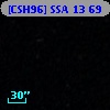 [CSH96] SSA 13  69