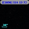 [CSH96] SSA 13  72