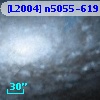 [L2004] n5055-619