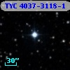 TYC 4037-3118-1