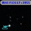IRAS F13117+3955