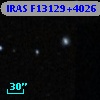 IRAS F13129+4026