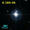 G 164-56