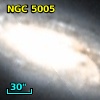 NGC  5005