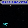 IRAS F13100+3750