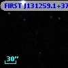 FIRST J131259.1+371436