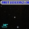 FIRST J131339.2+365019