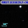 FIRST J131628.7+365651
