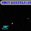 FIRST J131731.7+371512