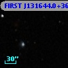 FIRST J131644.0+361646