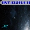 FIRST J131333.4+363728