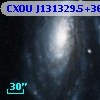 CXOU J131329.5+363517