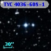 TYC 4036-608-1