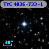 TYC 4036-733-1