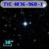 TYC 4036-960-1