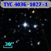 TYC 4036-1027-1