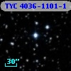 TYC 4036-1101-1