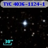 TYC 4036-1124-1