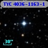 TYC 4036-1163-1