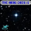 TYC 4036-2021-1
