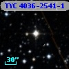 TYC 4036-2541-1