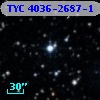 TYC 4036-2687-1