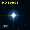 HD 114675