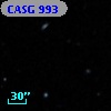 CASG  993