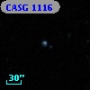 CASG 1116