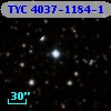 TYC 4037-1184-1