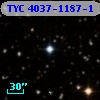TYC 4037-1187-1
