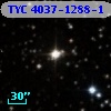 TYC 4037-1288-1