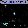 TYC 4037-2227-1