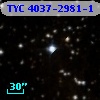 TYC 4037-2981-1