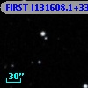 FIRST J131608.1+334253