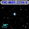 TYC 4037-2274-1