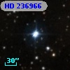 HD 236966